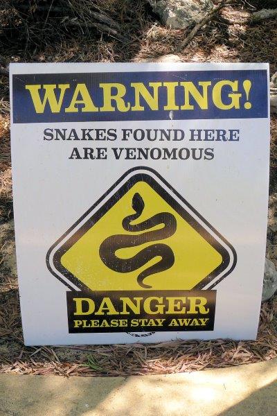 snake sign